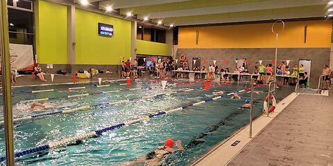 Auf den 5 Bahnen des Schwimmbeckens schwimmen jeweils mehrere Personen. Am Rand liegen auf einer Bank Hanttücher. Vor dem Becken stehen mehrere Tische, an denen die Bahnenzähler sitzen. Die Uhr zeigt 17:20:37.