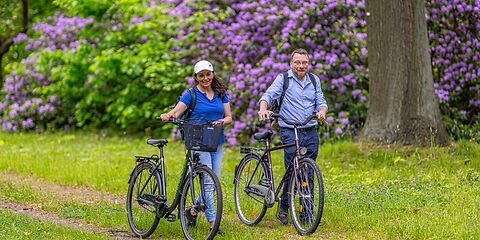 Zwei Radfahrende schieben ihre Fahrräder durch einen Stadtpark. Entlang des Weges blühen große violette Rhododendren.