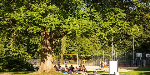 Eine Liegewiese unter einem großen Baum im Freibad lädt zum Verweilen ein. Im Hintergrund spielen Jugendliche Volleyball. Unter dem Baum sitzen und picknicken zahlreiche Menschen auf Decken.