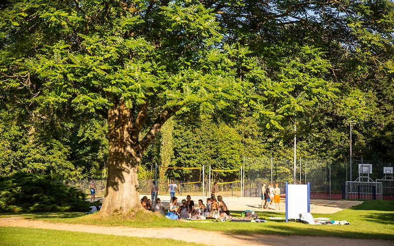 Eine Liegewiese unter einem großen Baum im Freibad lädt zum Verweilen ein. Im Hintergrund spielen Jugendliche Volleyball. Unter dem Baum sitzen und picknicken zahlreiche Menschen auf Decken.