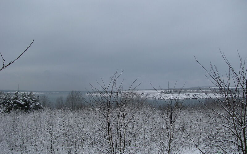 Aufnahme aus größerer Entfernung: Hinter verschneiten kahlen Ästen liegt der zugefrorene Klinger See. Im Hintergrund ist ein zugeschneiter Abhang zur Seeoberfläche und ein kleiner Wald in einer sonst leerstehenden Schneelandschaft zu sehen.