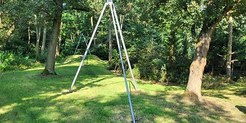 Die Seilfähre auf einer Wiese zwischen mehreren Bäumen