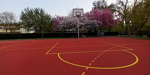 Ein Basketballkorb steht auf einem roten Spielfeld, auf dem die Linien gelber Farbe aufgezeichnet wurden. Im Hingergrund stehen Bäume mit grünen bzw. pinken Blättern.