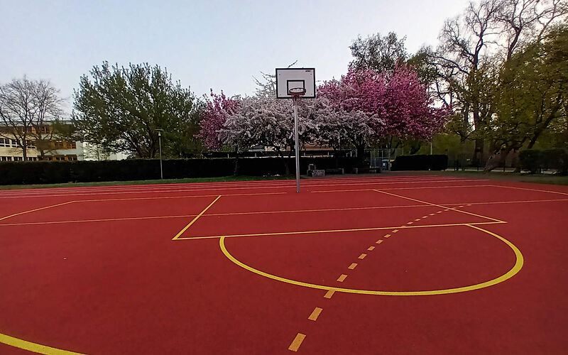 Ein Basketballkorb steht auf einem roten Spielfeld, auf dem die Linien gelber Farbe aufgezeichnet wurden. Im Hingergrund stehen Bäume mit grünen bzw. pinken Blättern.