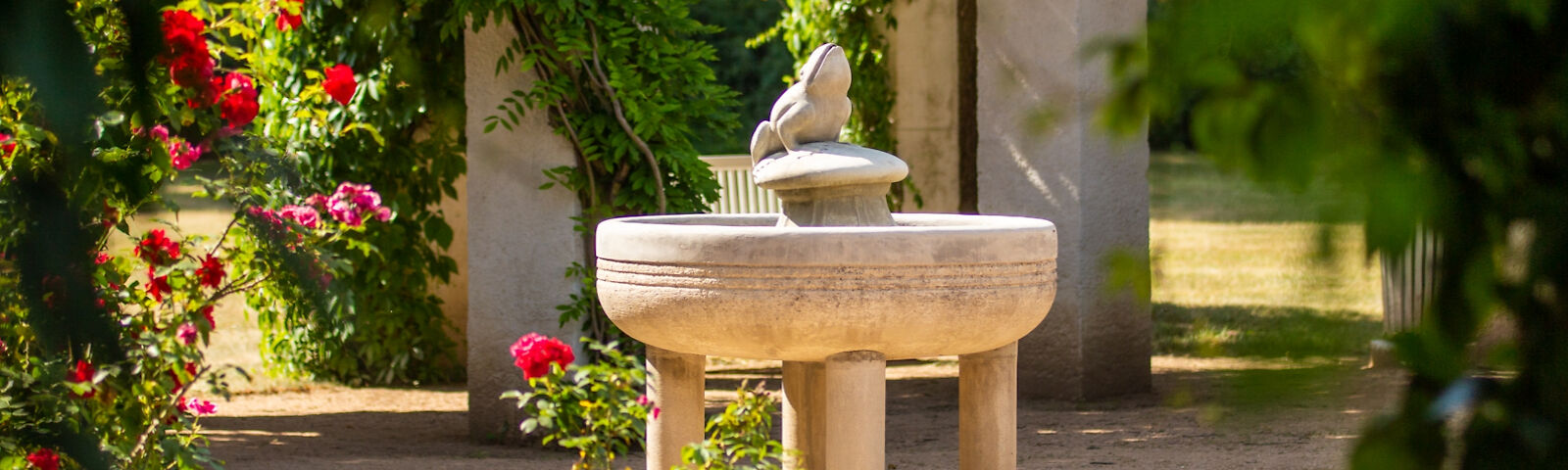 Froschbrunnen im Vordergrund