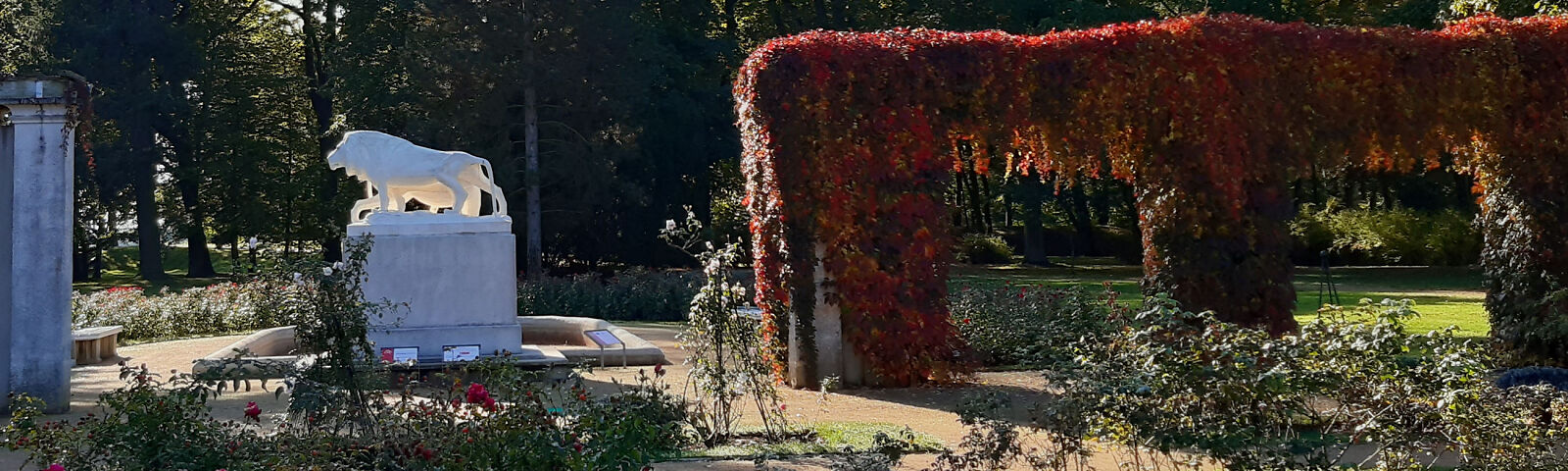 Löwenbrunnen im Wehrinselpark des Ostdeutschen Rosengartens, zu sehen ist die Plastik ein weißes Löwenpaar, welches entgegengesetzt zueinander steht, sie sind Teil des Löwenbrunnens und stehen erhöht über dem Brunnen