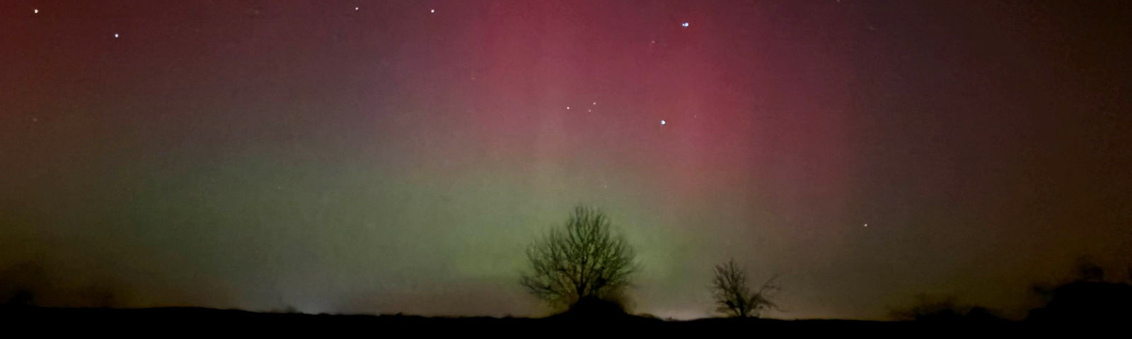 Der Himmel leuchtet in einem Farbverlauf von pink zu grün, am Horizont sieht man die Silhouetten von Bäumen.