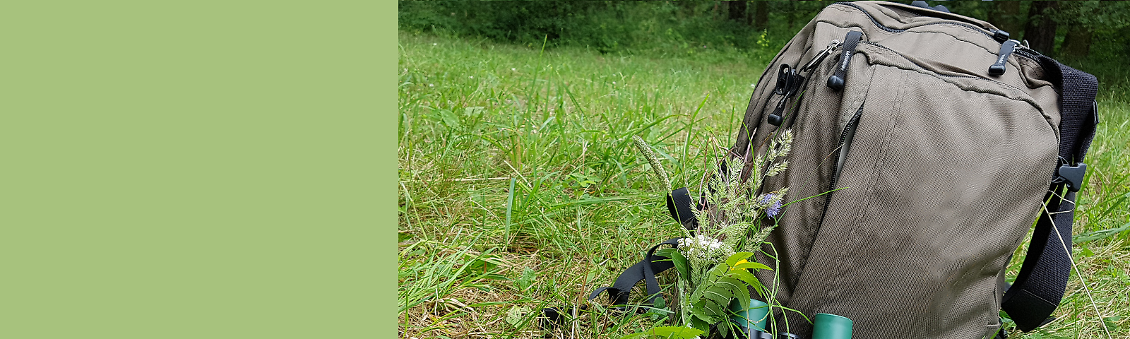 Wanderrucksack im Gras, Fernglas liegt davor