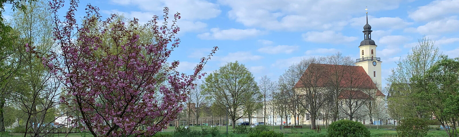 Zu sehen ist die Stadtkirche St. Nikolai im Hintergrund, davor frühlingshaftes blühendes Grün