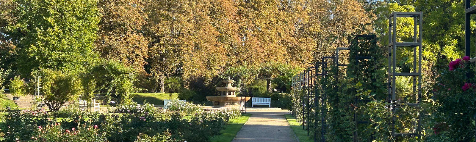 Ein Sandweg, an dem zu beiden Seiten Rosenbeete sind, führt zu einer weißen Bank. Hinter der Bank sind mehrere große Bäume mit bunten Blättern. Neben der Bank steht ein 3-etagiger Brunnen.